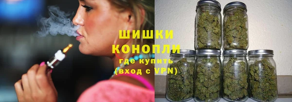 прущие грибы Покровск