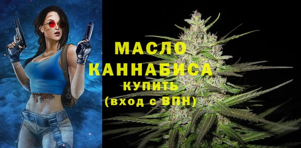 дмт Алексин