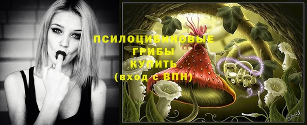 дмт Алексин