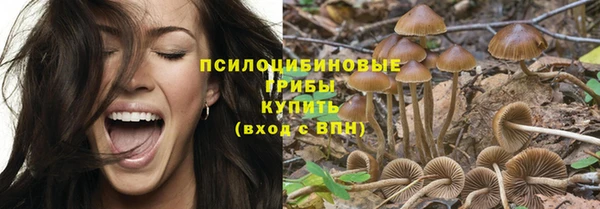 СК Алзамай