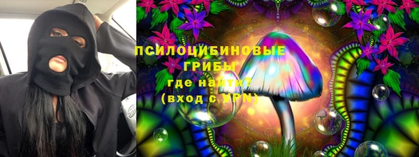 дмт Алексеевка