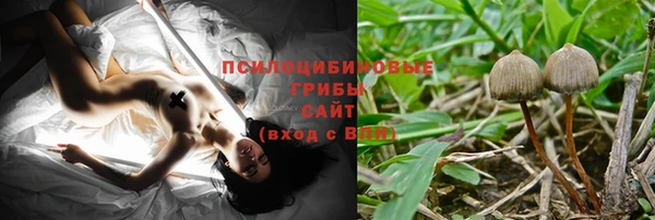 дмт Алексеевка