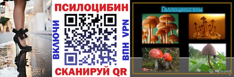 мориарти формула  OMG ссылка  Медынь  Псилоцибиновые грибы GOLDEN TEACHER 