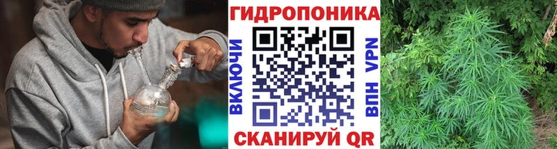 Шишки марихуана THC 21%  ОМГ ОМГ как зайти  Медынь 